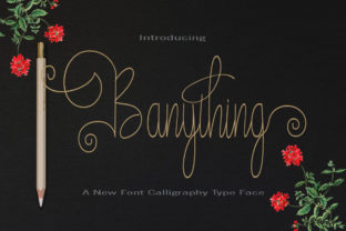 Banything Font: Elevating Editorial Design with Grace