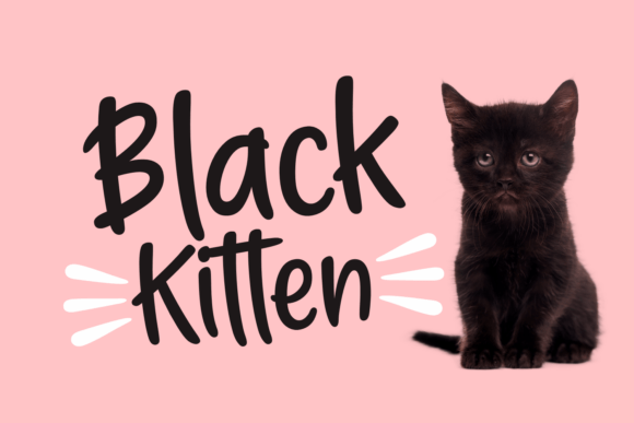 Black Kitten Font: Modern Handwritten Type for Web Design