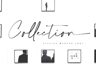 Collection Font: A Smooth Script for Modern Web Design