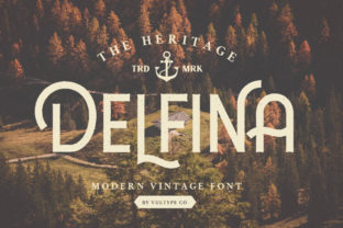 Delfina Font: Retro Sans Serif for Web Design