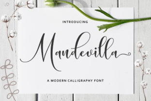 Mandevilla Script Font Review for Authentic Campaign Design