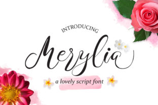 Merylia Font: Organic Handwritten Style for Small Business Branding