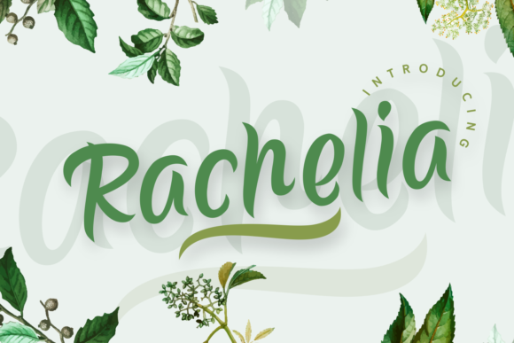 Rachelia Font: Elegant Script Handwritten Typography for Web Design