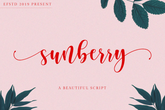 Sunberry Font: Charming Script Handwritten Branding