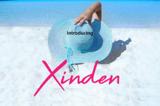 Xinden Font: Modern Script for Cool Brand Identity